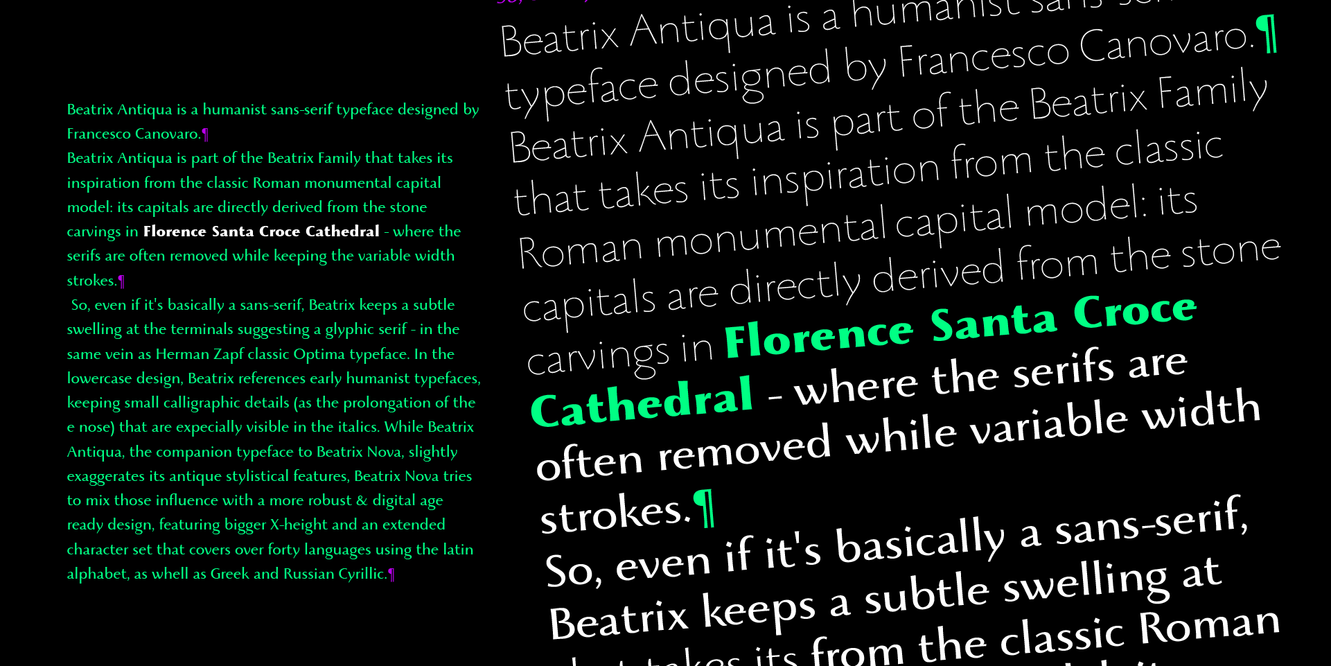 Beatrix antiqua description